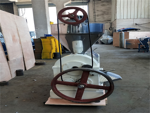 plant peanut oil extruder press in south africa
