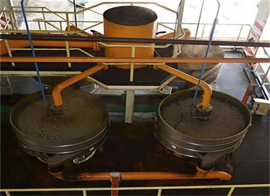 automatic high rate peanut oil making machine