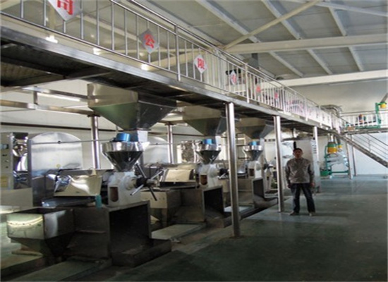 sunflower of sunflower oil extraction equiment