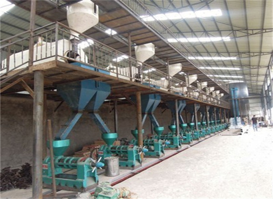 sesame oil processing equipment bv ce iso in south africa