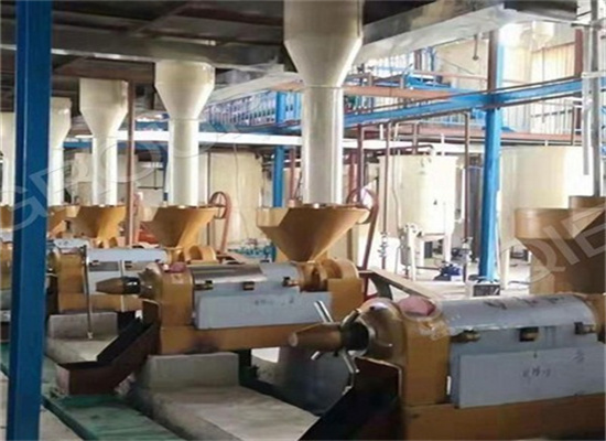sunflower oil processing plant machine suppliers