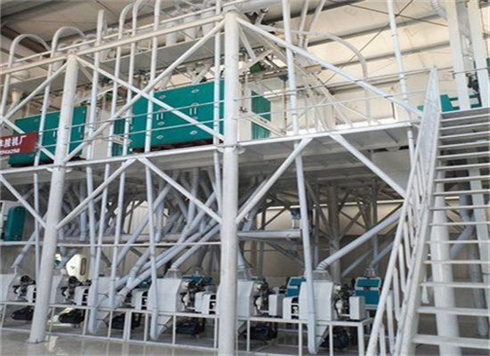 10-30t/d screw production line cotton seed oil press line
