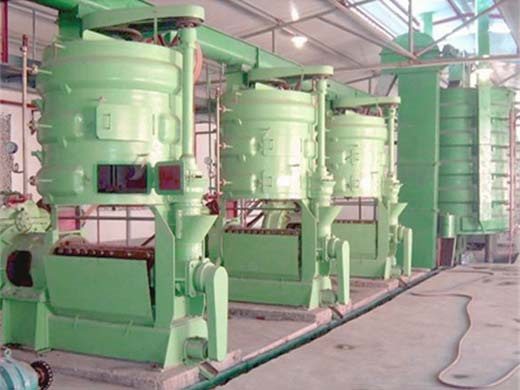 made oil cotton seed processing line in pakistan