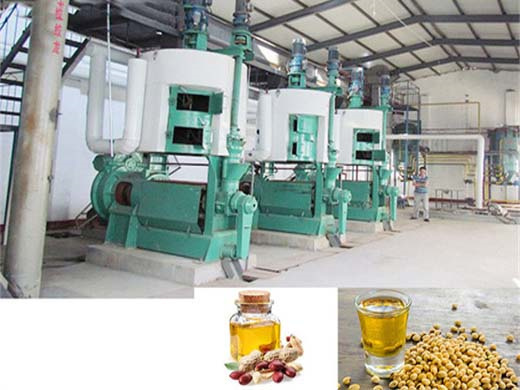 leading nuts cotton seed oil processing equipment