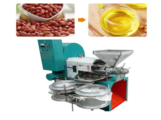 low price sesame seed oil extraction machine in durban