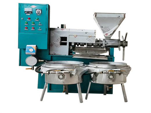 ce iso certificated peanuts screw oil extruder