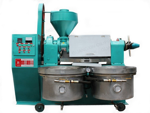 oil press machine 110v peanut oli making machine