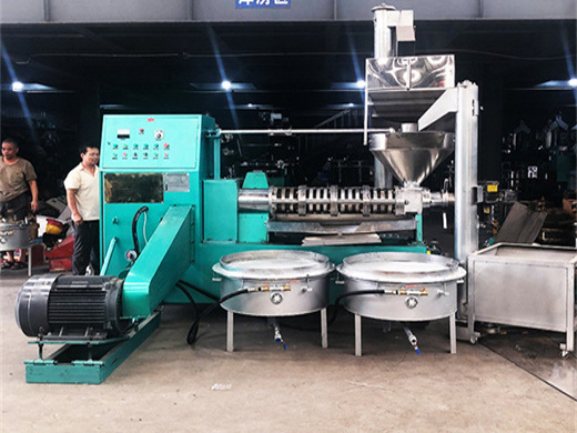 cotton palm cold press oil seed machine in angola