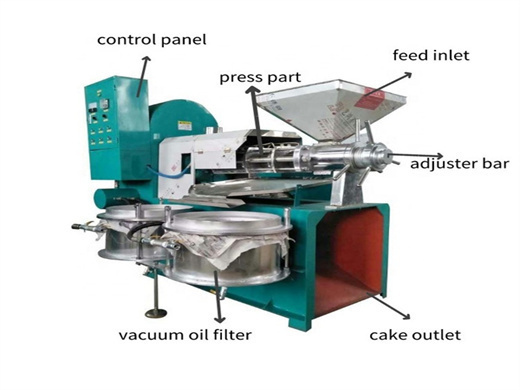 top selling automatic peanut oil press equipment