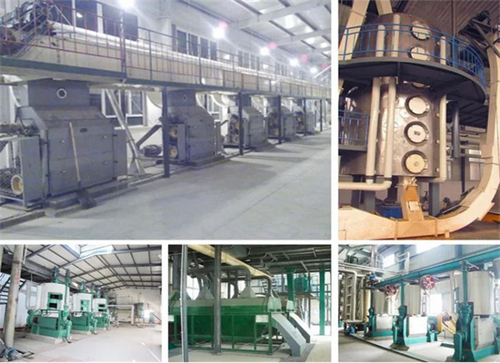 machine oil processing machine sesame seed in rwanda