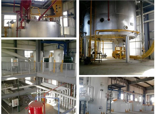supplier beverage coconut oil processing plant