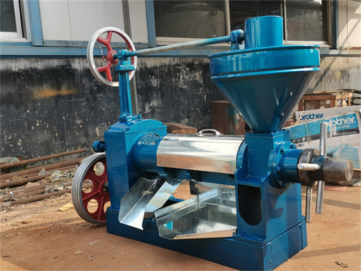 6yl series cotton seed oil processing machine in pakistan