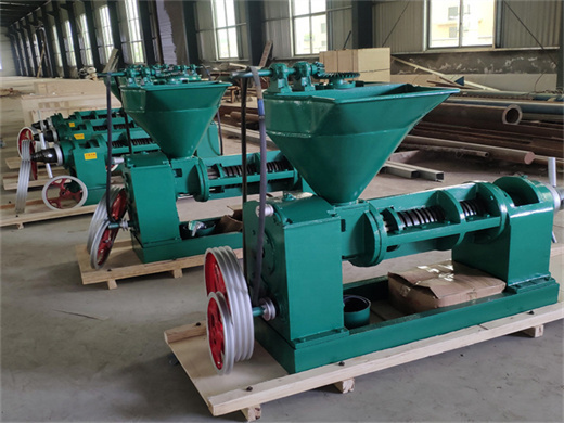 high output low price peanut oil making machinery