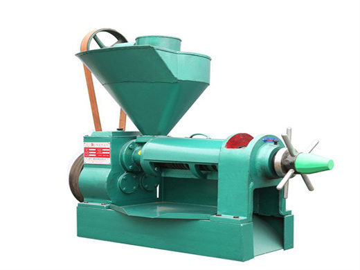 production automatic peanut oil press machine