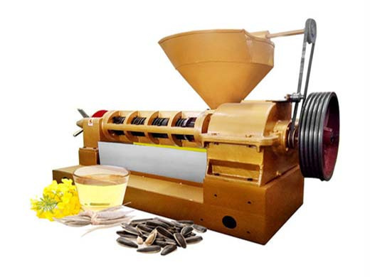 screw cotton seed nut oil press machine in cape town