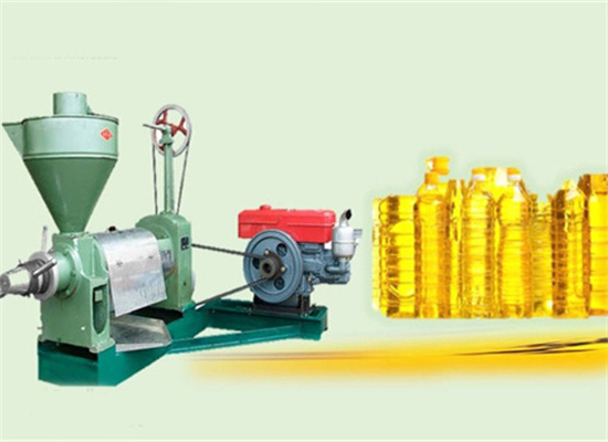 cold pressed type sunflower oil extraction machine