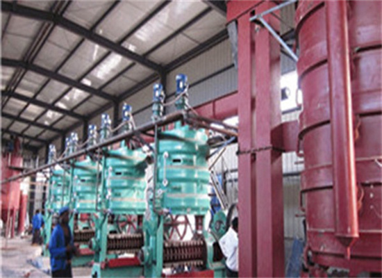 what is cost of coconut screw oil press in russia