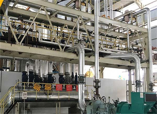 production of peanut oil machine in russia