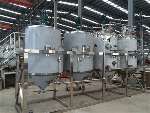 stainless steel coconut oil refining equipment