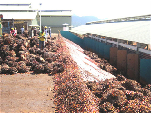 palm fruit oil processing machinery in zambia
