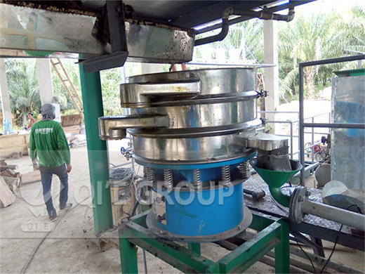 palm kernel oil expeller machine indonesia