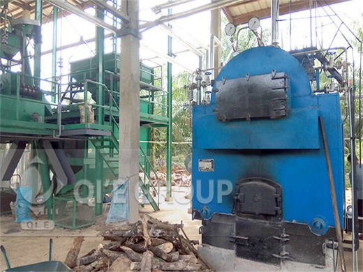 latest technology palm oil production line machine made
