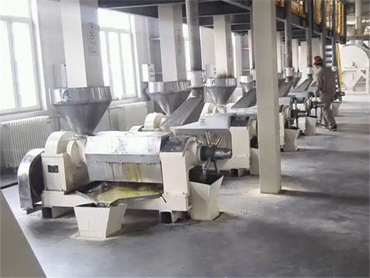 palm processing machinery for oil plant in nepal