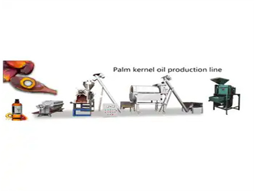 small cold black seed palm kernel oil press mill