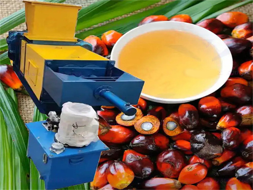 palm oil production machine layot in congo