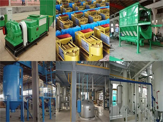 fast delivery palm oil production machine price