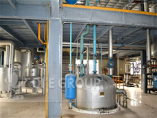 new type palm small screw oil processing plant