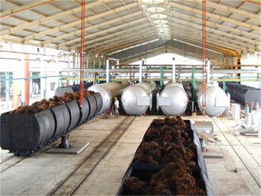 in good quality soy/palm kernel oil production line from