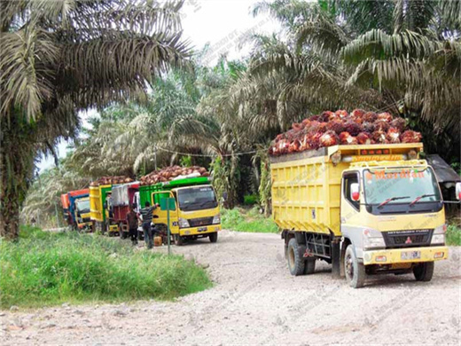 best palm oil production machine in tanzania