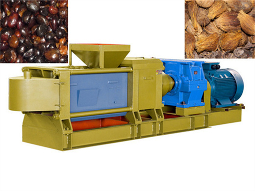 palm oil production equipment for supplier in pakistan