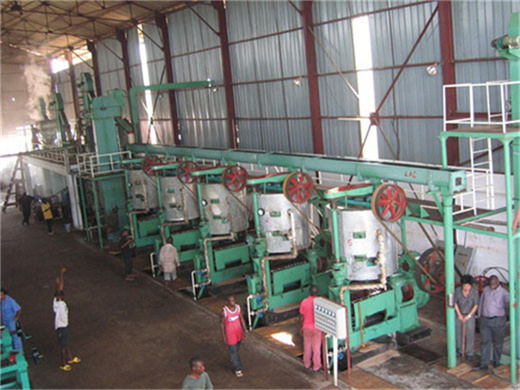 palm oil clarifier machine in malawi