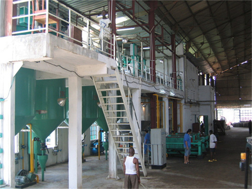 low cost 5tph palm oil production line in durban