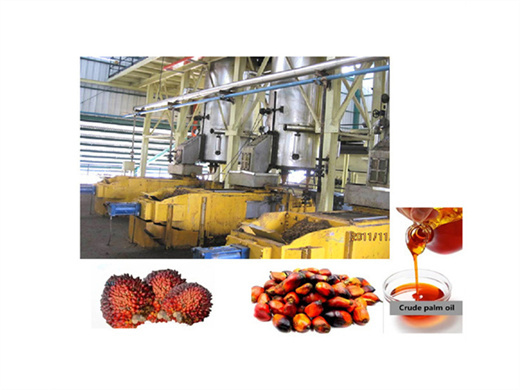 direct supply of factory used palm oil press in tanzania
