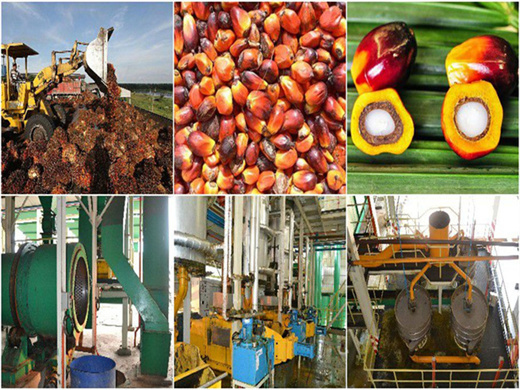 best palm kernel oil processing plant in zimbabwe