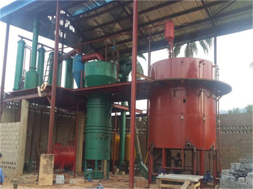 production line automatic for peanut/palm kernel oil press