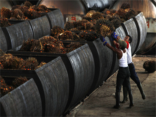 50tph oil palm fruit pressing equipment in rwanda