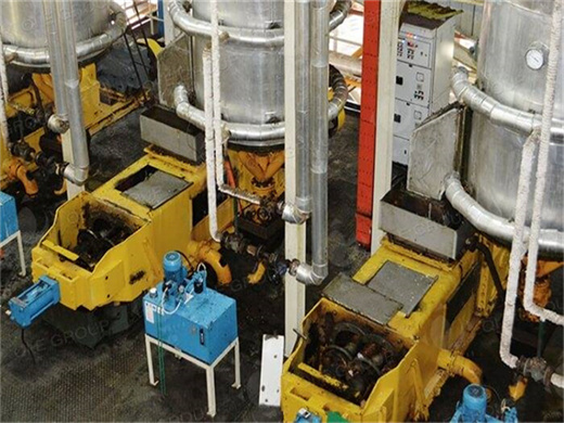 palm kernel oil production line equipment seed press machine