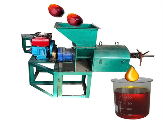 factory price palm oil press machine in mozambique
