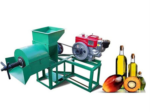 oil pressing palm kernel bean seeds oil press company