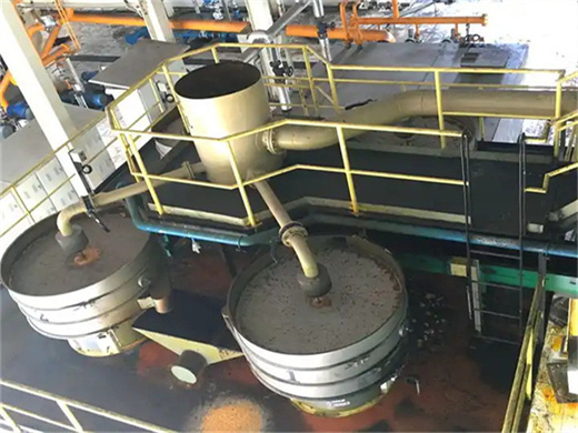 new designed 200kg/h palm kernel oil machine in congo