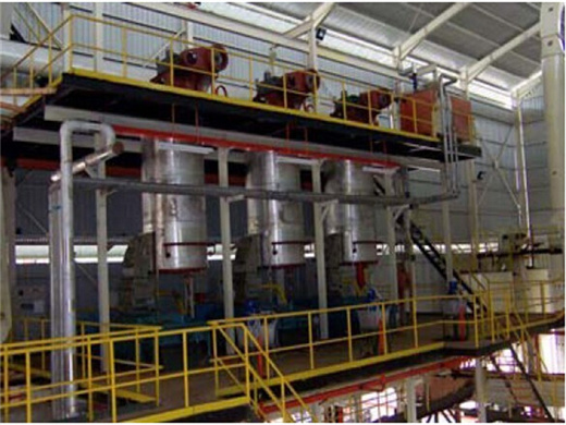 very small scale crude palm oil production line in mozambique