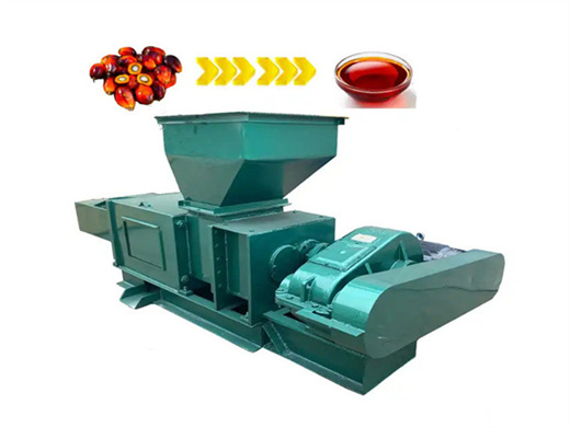 palm oil expeller machinery for big factory in zimbabwe