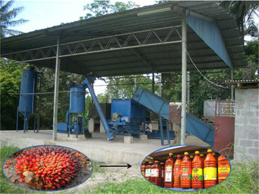 prefessional of palm kernel processing mill in russia
