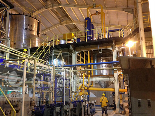 automatic palm kernel oil processing plant in ethiopia