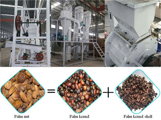 advanced mini palm kernel press oil plant in uganda