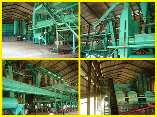 popular palm kernel oil expeller machine supplier